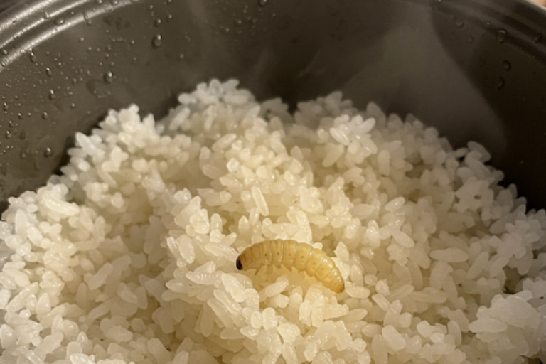 arroz sem lavar